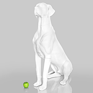 Dog Mannequin Edmund - Anti-Scratch White