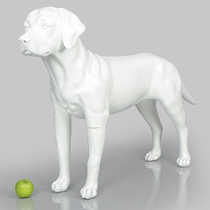 Dog Mannequin Victoria - Anti-Scratch White